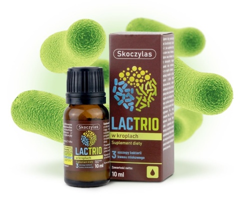 Skoczylas Lactrio probiotyk w kroplach 10 ml Skoczylas Lactrio probiotyk w kroplach 10 ml