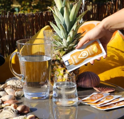 Bolero Instant Pineapple 9g