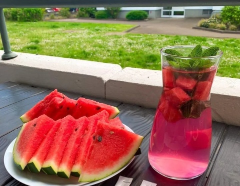 Bolero Instant Watermelon 9g