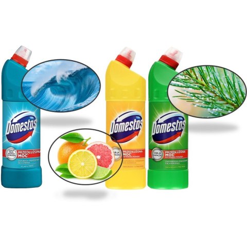 Płyn do WC Domestos 1L Citrus Domestos Płyn do WC Domestos 1L Citrus Domestos