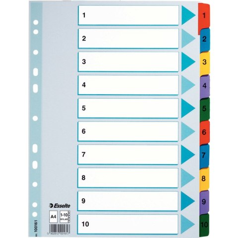 PRZEKŁADKI MYLAR ESSELTE A4 1-10 Esselte PRZEKŁADKI MYLAR ESSELTE A4 1-10 Esselte
