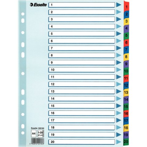 PRZEKŁADKI MYLAR ESSELTE A4 1-20 Esselte