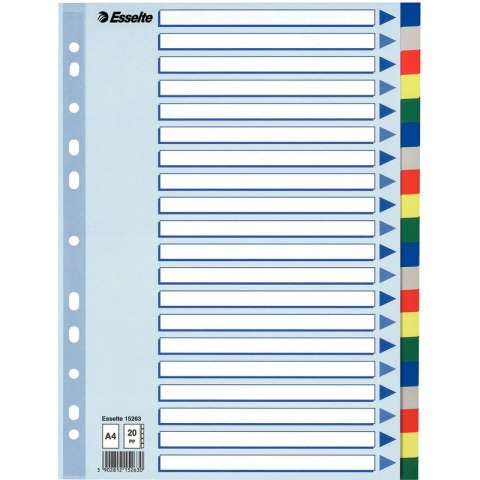 PRZEKŁADKI PP ESSELTE A4 INDEX 20 KOLORÓW Esselte