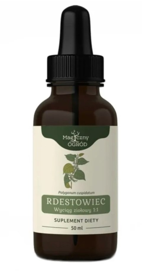 Nanga Rdestowiec japoński wyciąg 1:1 50 ml