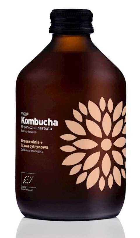 VIGO Kombucha Brzoskwinia Trawa cytrynowa 330 ml