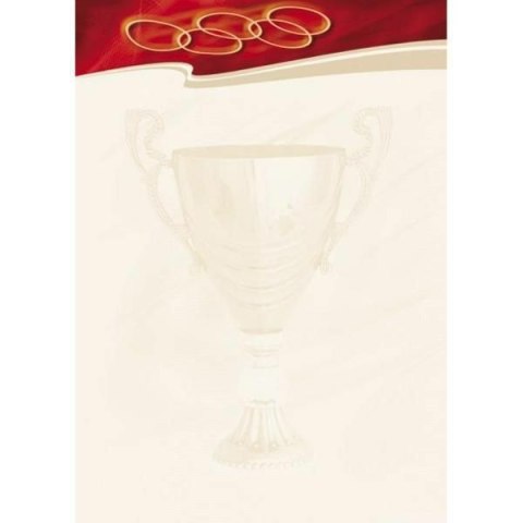 DYPLOM GALERIA PAPIERU A4 SPORT (25) Galeria Papieru